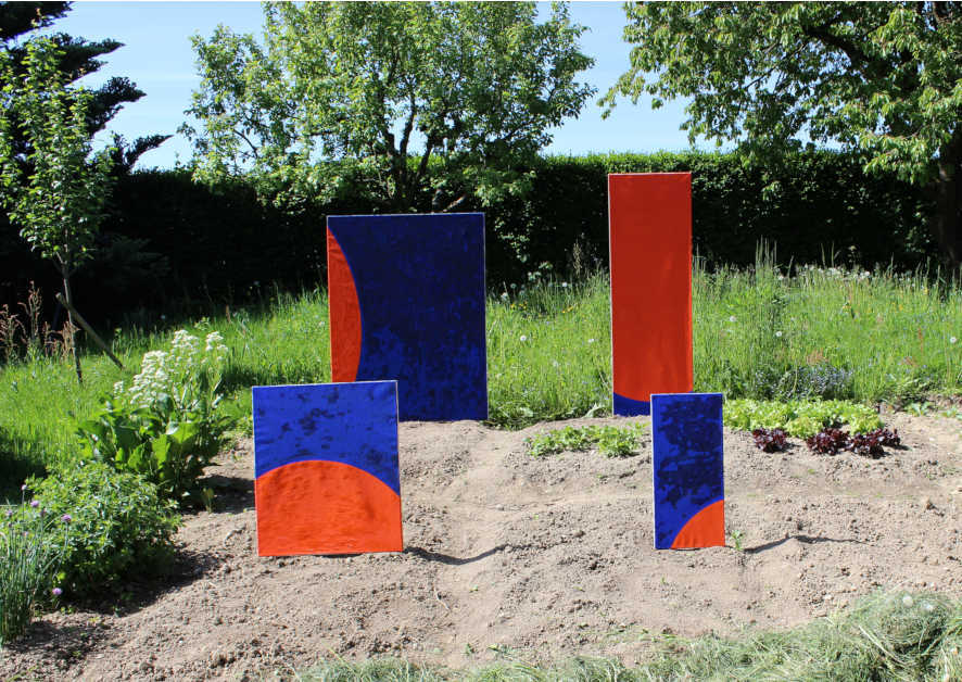 4 Bilder im Gemüsegarten