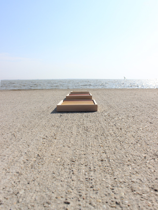 Foto Neusiedlersee mit Serie Ölbilder Titel Erden