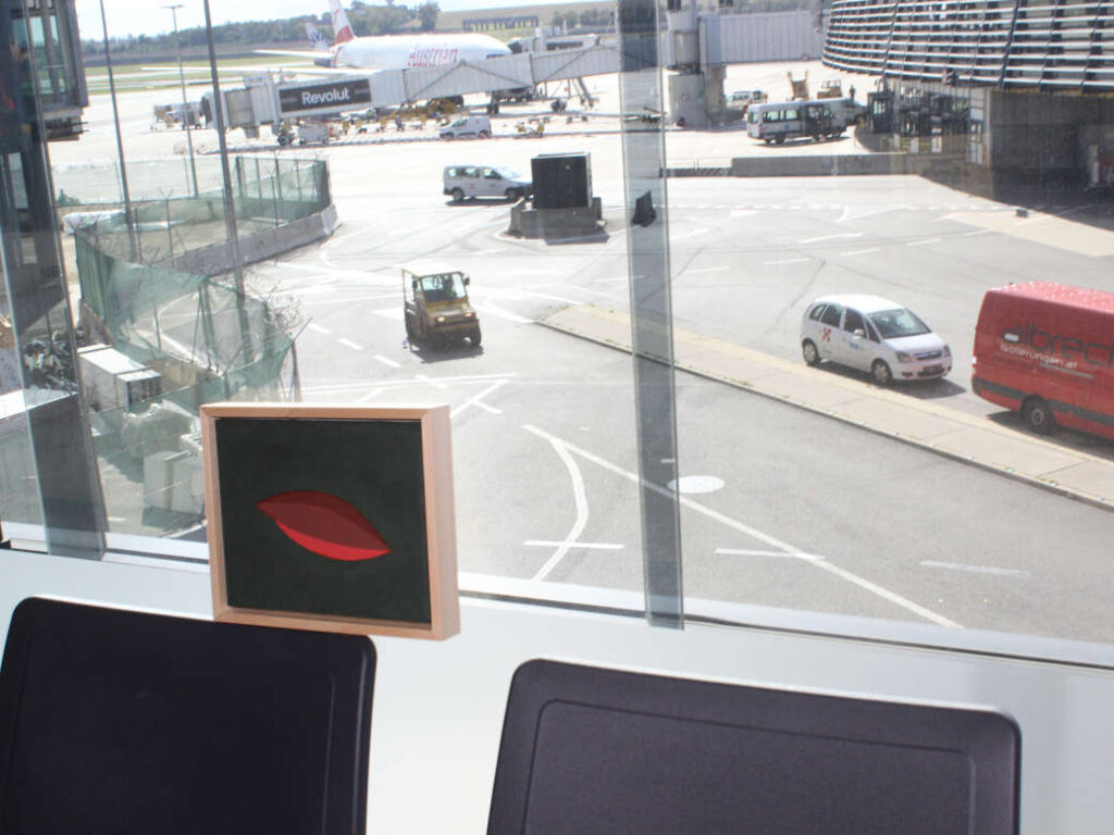 Foto Bild Erden und Flughafen Wien