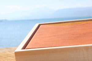 Bild Erden vor Attersee