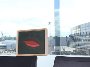 Bild Erden am Flughafen Wien