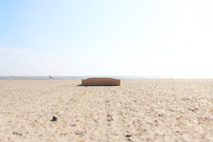 Bilder Erden mit Neusiedlersee Ufer