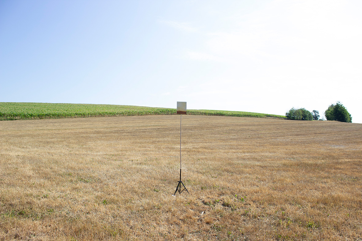 Fotografie ausgedörrte Wiese mit Bild aus Serie Erden auf Ständer